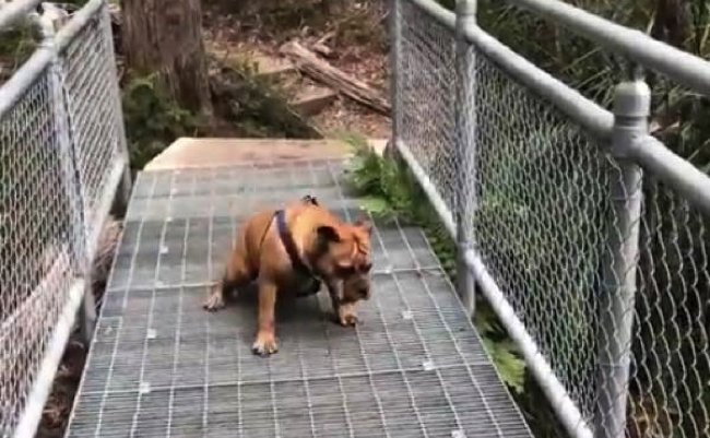 422731dd9a46124aded5f985f082afaa copy