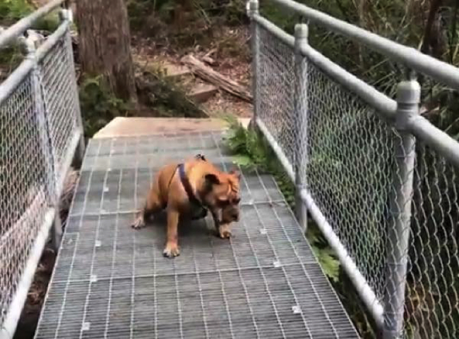 422731dd9a46124aded5f985f082afaa copy