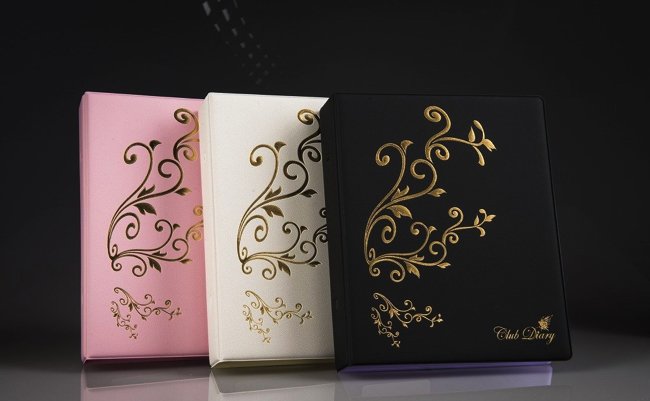 61X+Fibiz+L._SL1024_ copy