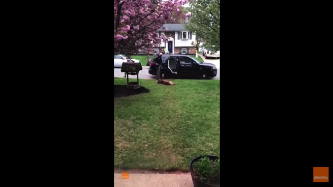 6446d860dbbfe540e9e2cbab5f98f1e3-302-640×359