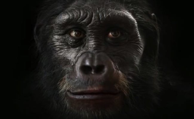 66637debf349a109a842279a03cd1420 copy