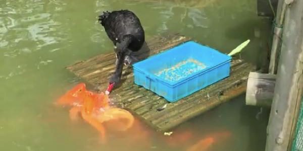 7ff9d94f4fc61be75df1e3d36be03785 copy