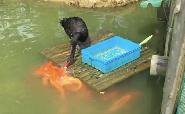 7ff9d94f4fc61be75df1e3d36be03785 copy