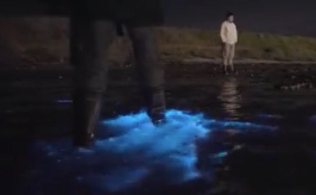 8e0e826c9d9c838d263c62c9d2685169 copy