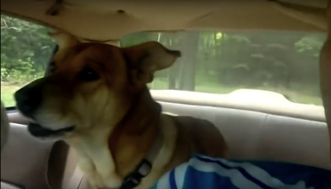 スクリーンショット 2018-05-15 3.44.12