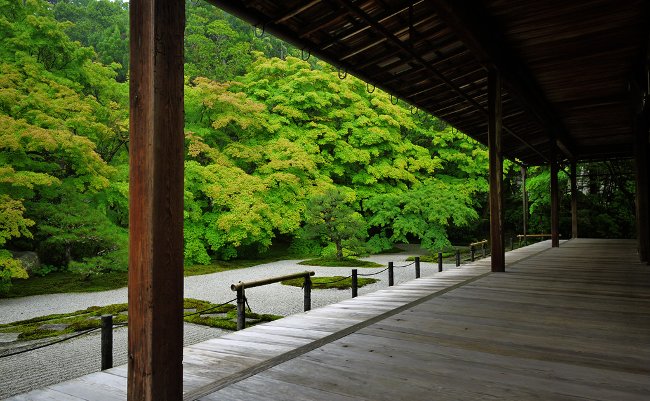 目に青葉。静けさを取り戻した京都で、青もみじを愛でる旅へ