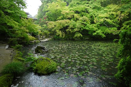 kyoto20180528-2