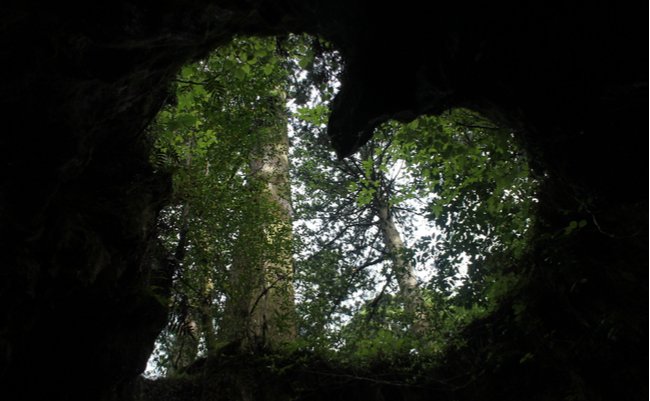 shutterstock_421546651