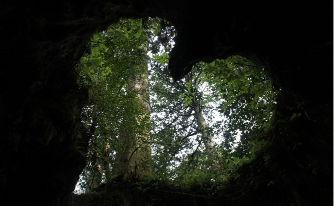 shutterstock_421546651