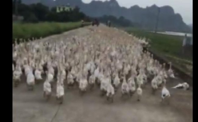 6cfe4c6b300f8e3d2255cb8bdfddb41e copy