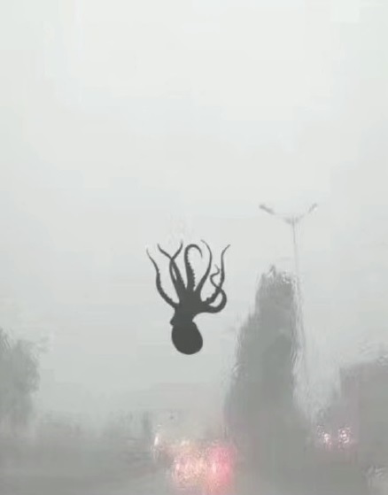 6eb5e3b6gy1fs9twhsjllj20c60fjjrp-1