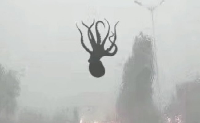 6eb5e3b6gy1fs9twhsjllj20c60fjjrp