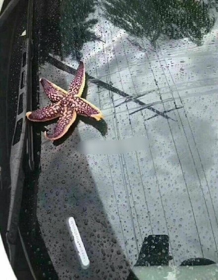 6eb5e3b6gy1fs9twhvt21j20c80fpacq