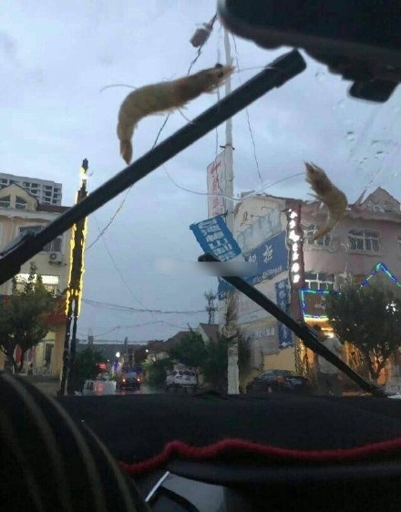 6eb5e3b6gy1fs9twhvt4aj20c80fmq4j