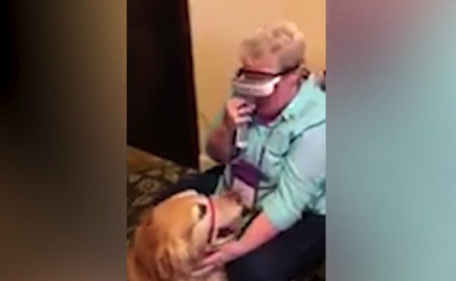 7fe3de56aca9c89a076da1cf82e34566-640x466