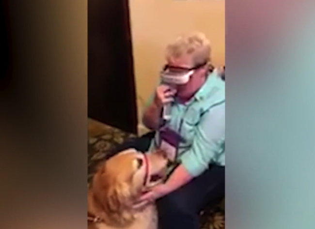 7fe3de56aca9c89a076da1cf82e34566-640×466