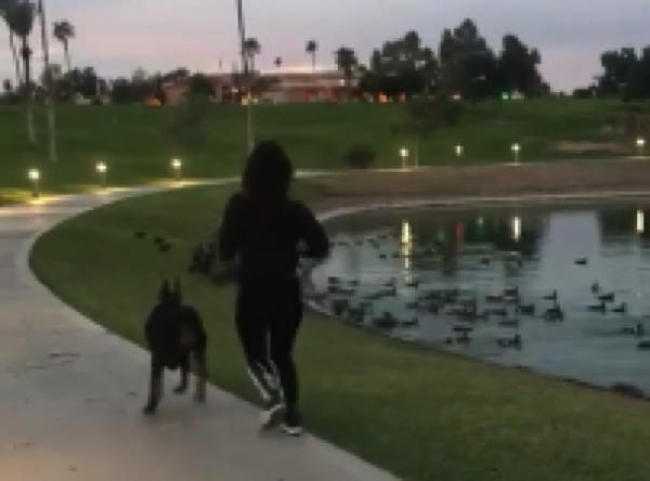 931217950e6f8ff520b3d00cc0a4b400 copy