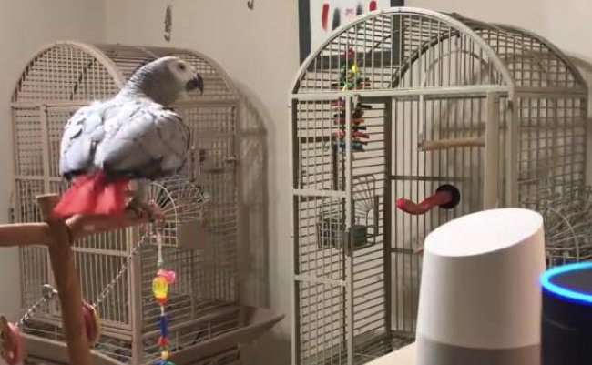 e5bb124c41e9f7f07a14ac5aa2601f9d copy