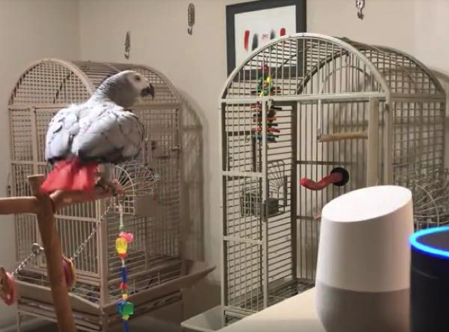 e5bb124c41e9f7f07a14ac5aa2601f9d copy