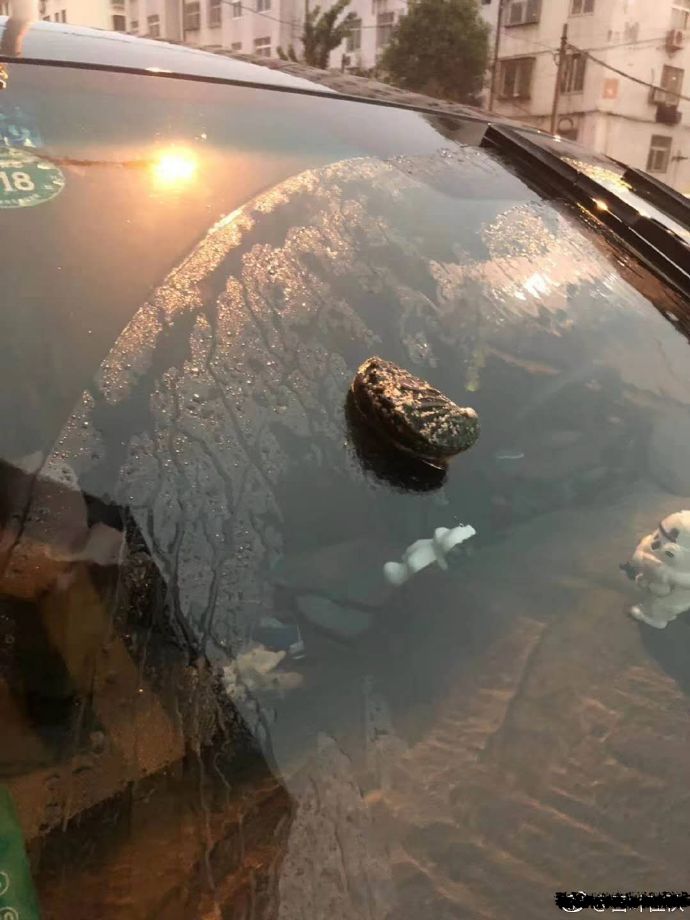 e75606d6ly1fs9rp1kwdgj20u0140q5h