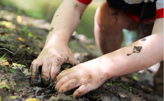 shutterstock_479221423