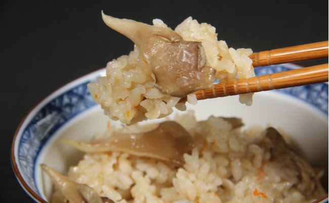 shutterstock_626674031