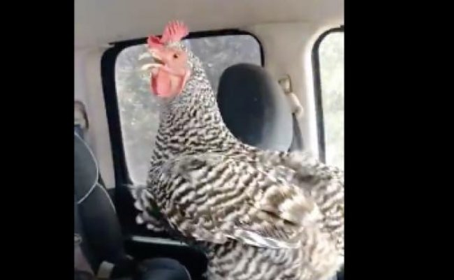 16eb735213363f4d093cb9cafd149301