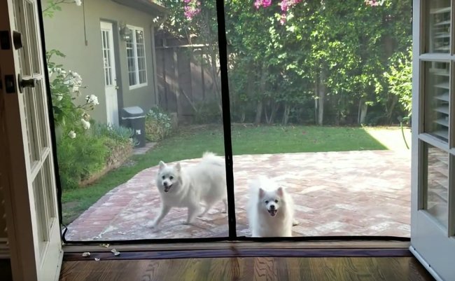 スクリーンショット 2018-07-20 20.18.36