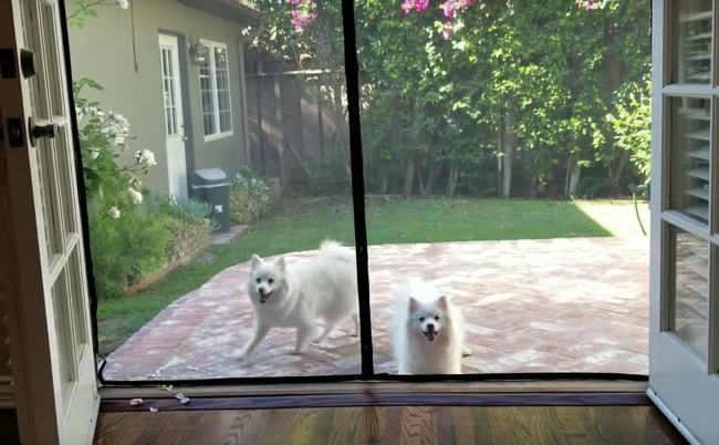 スクリーンショット 2018-07-20 20.18.36