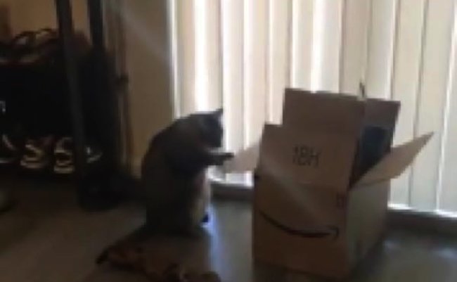 423b3875fc0acde92f5a8940af61953d copy