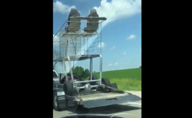 706078e9f4fac1927692e87bcb1bbe26 copy