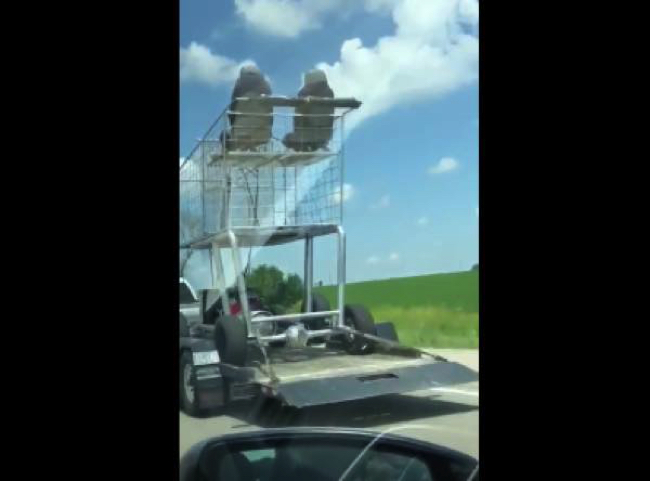 706078e9f4fac1927692e87bcb1bbe26 copy