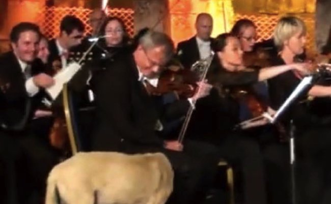 a3c309edbf7c31aabbab304099337cd7 copy