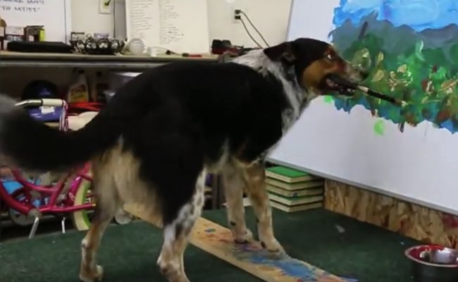 スクリーンショット 2018-07-15 11.03.28