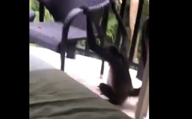 e73813b3215289cad36906d4da45d622 copy