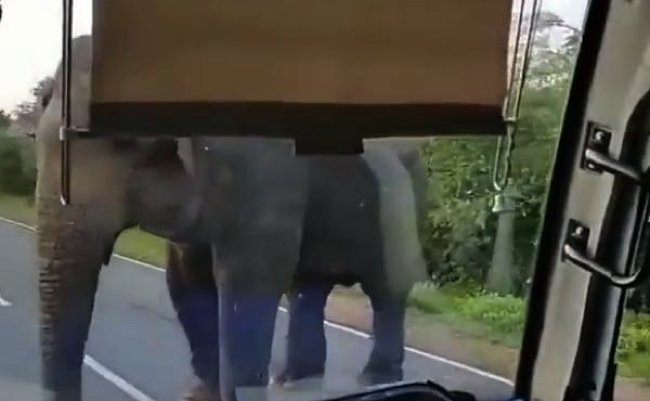 fbc8c2d62aa23e4a35aa223e56818db7 copy copy