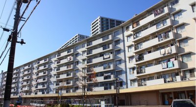 shutterstock_532109476