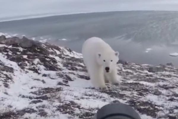 22f0c42f4e2dcff7e016e0ba548a89dd