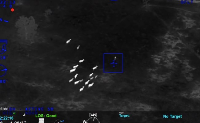 スクリーンショット 2018-08-14 16.22.33