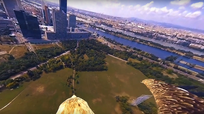 スクリーンショット 2018-08-10 4.51.40