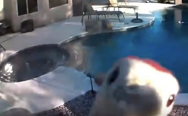 68ec899e3205b174b8e03369fd54ab2c copy