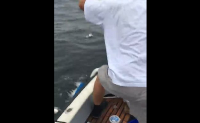 8a6ad06c52b03c82b76c695d61824dd1-640x490