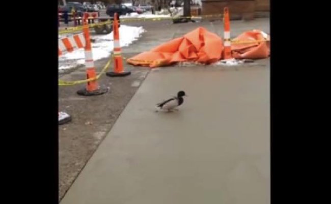 8c7d39b51f5b051af81fd13236209000 copy