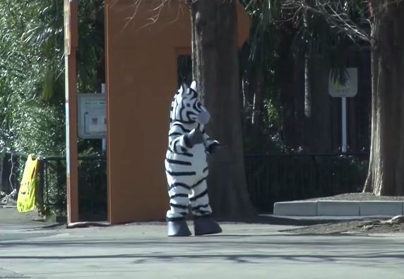 スクリーンショット 2018-09-27 16.18.55