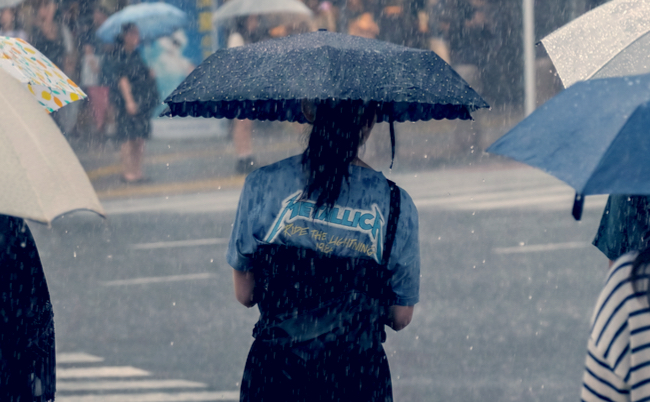 shutterstock_1145949125