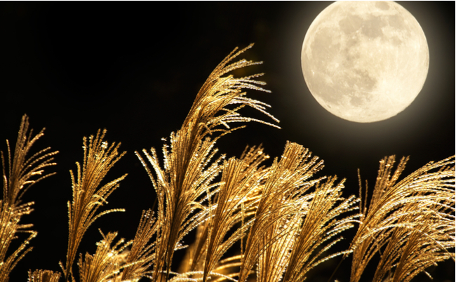 shutterstock_301570046