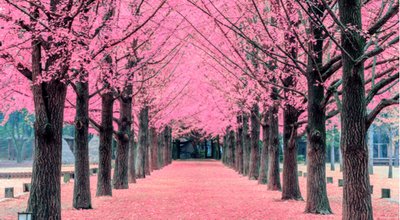 shutterstock_351428942