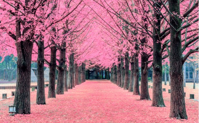 五木寛之が、どう生きるかより「いかに死ぬか」をテーマとする訳