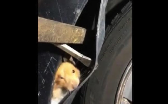 3a8c5d2bcb6a6c9722a3103071e2ae47 copy