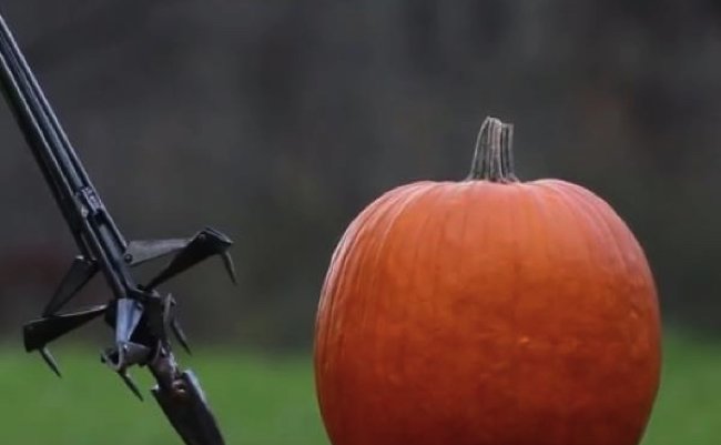 deb88415416dc9aee486cf3c4c8f0c31 copy